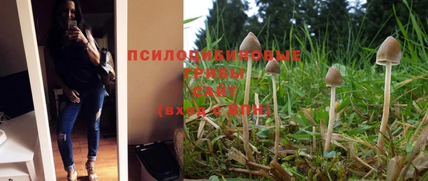 2c-b Арсеньев