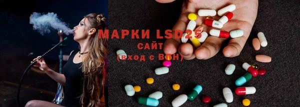ешки Аркадак
